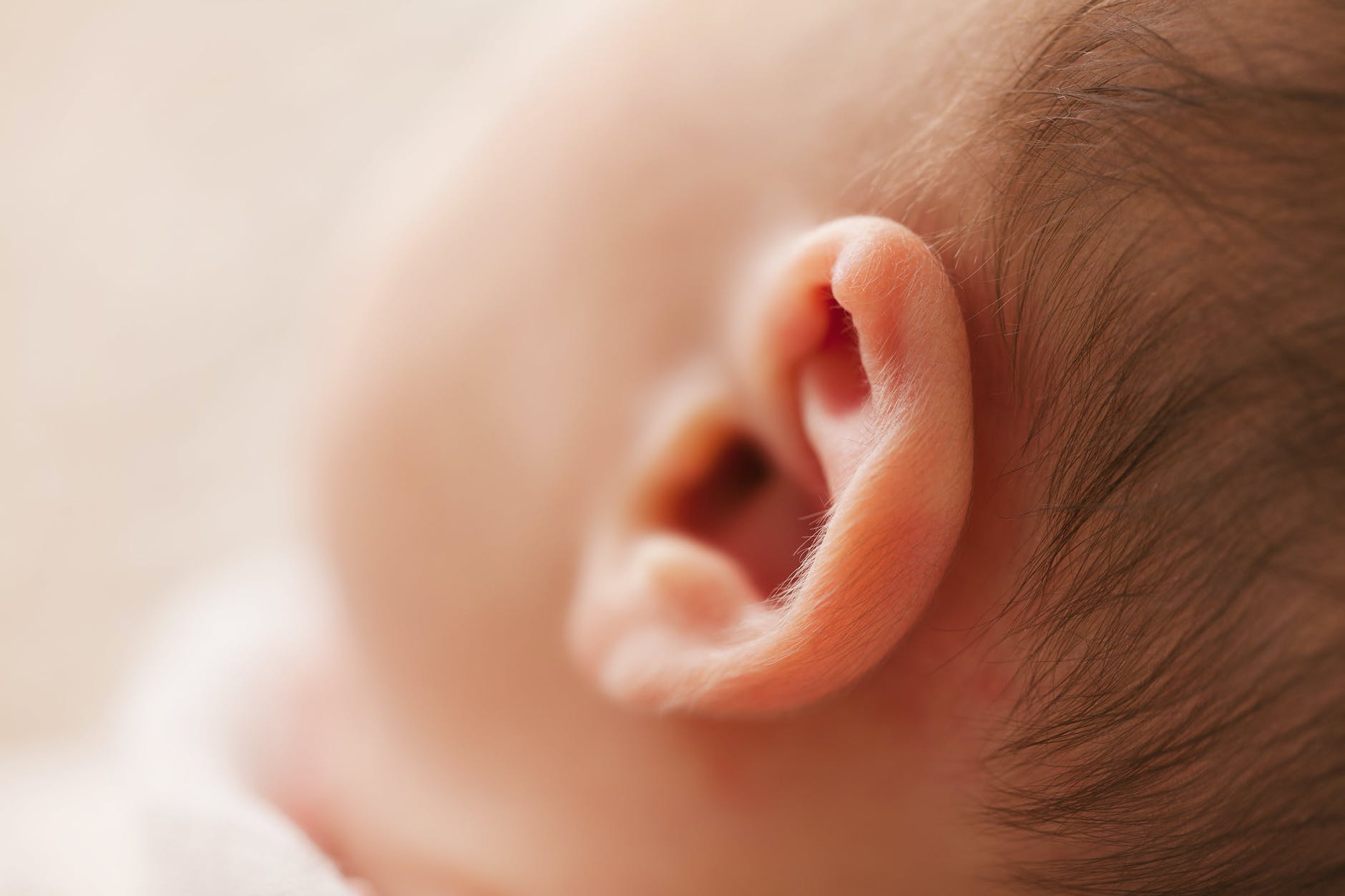 macro photography of babys ear
